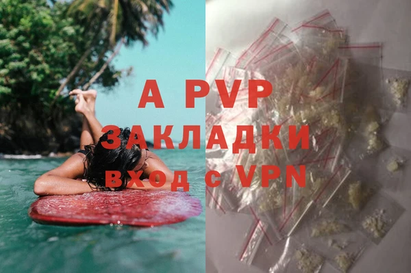 твердый Алексин